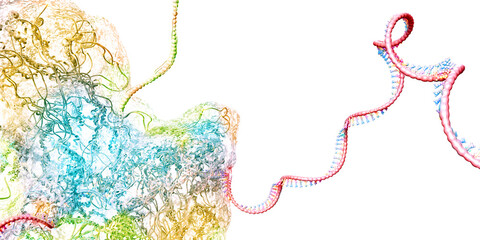 Sticker - Ribosome as part of an biological cell constructing messenger rna molecules - 3d illustration