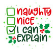 © Zsuzsanna - Naughty, nice, I can explain - Funny calligraphy phrase for Christmas. Hand drawn lettering for Xmas greetings cards, invitations. Good for t-shirt, mug, gift, printing press. Holiday quotes.