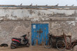 Moped und Fahrrad vor Mauer mit blauer Tür
