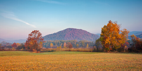 Wall Mural - autumnal rural landscape at sunrise. beautiful mountainous countryside in late autumn season. empty 