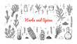 © Kseniia - Set of hand drawn herbs and spices design elements. Vector illustration