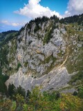 Fototapeta Las - Massif de Chartreuse - Alpage du Charmant Som