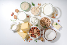 Vegan Non-dairy Products. Plant-based Alternative Dairy Products – Milk, Cream, Butter, Yogurt, Cheese, With Ingredients - Chickpeas, Oatmeal, Rice, Coconut, Nuts