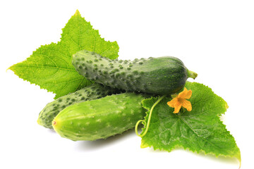 Poster - Fresh cucumbers on a white background