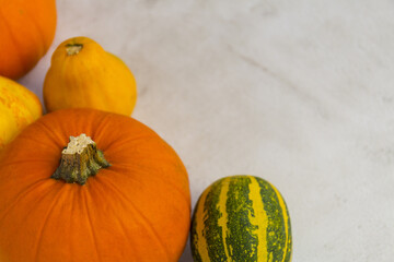 Poster - Overhead shot of pumpkins on  bright background and space for text