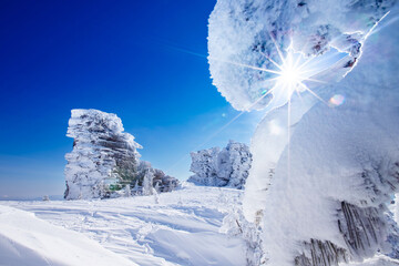 Wall Mural - Beautiful winter view in dream, snow covered spruce and frozen sheer cliff with blue sky with sun light