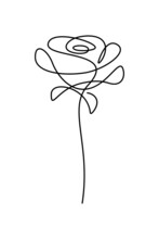 Flower In Continuous Line Art Drawing Style. Rose Flower Minimalist Black Linear Design Isolated On White Background. Vector Illustration