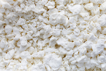 Poster - White cottage cheese. Grainy cheese close-up