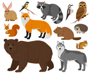 Wall Mural - Cartoon forest animals, owl, bear, fox, raccoon and squirrel. Woodland wild animals and birds isolated vector illustration set. Woods wildlife fauna