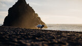 Fototapeta Konie - Dog in Bandana Playing at Beach During Sunset