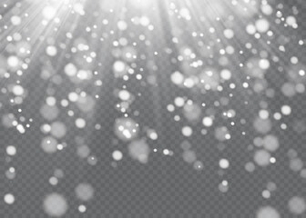 Wall Mural - Vector snowfall isolated. Winter background. Snow overlay illustration. Snowflakes and ice.