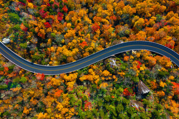 blue ridge parkway in north carolina in fall colors. looking straight down at the road.