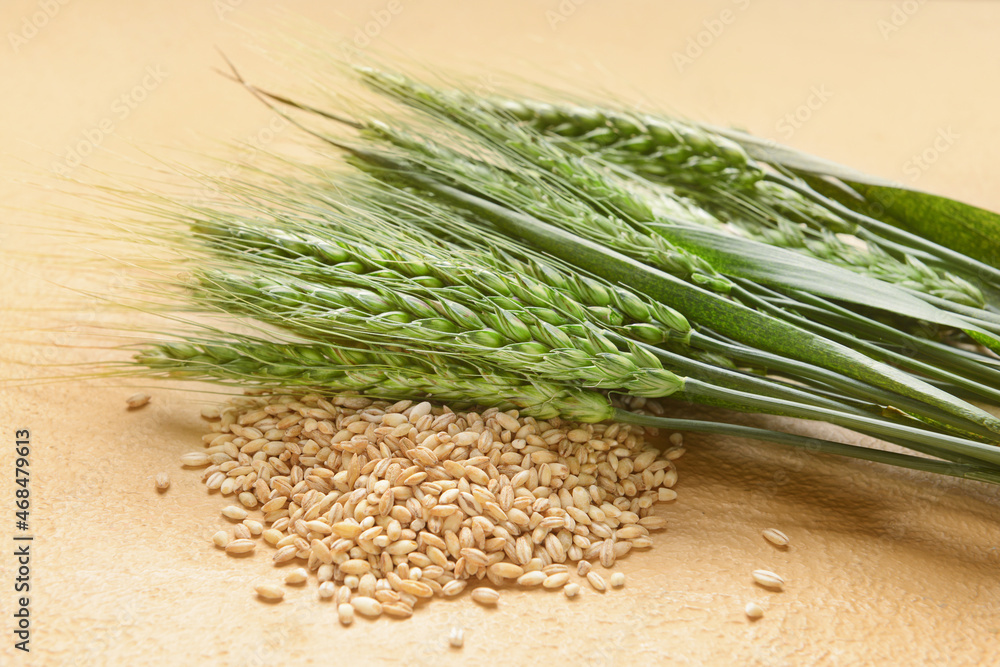 Green wheat spikelets and grains on color background