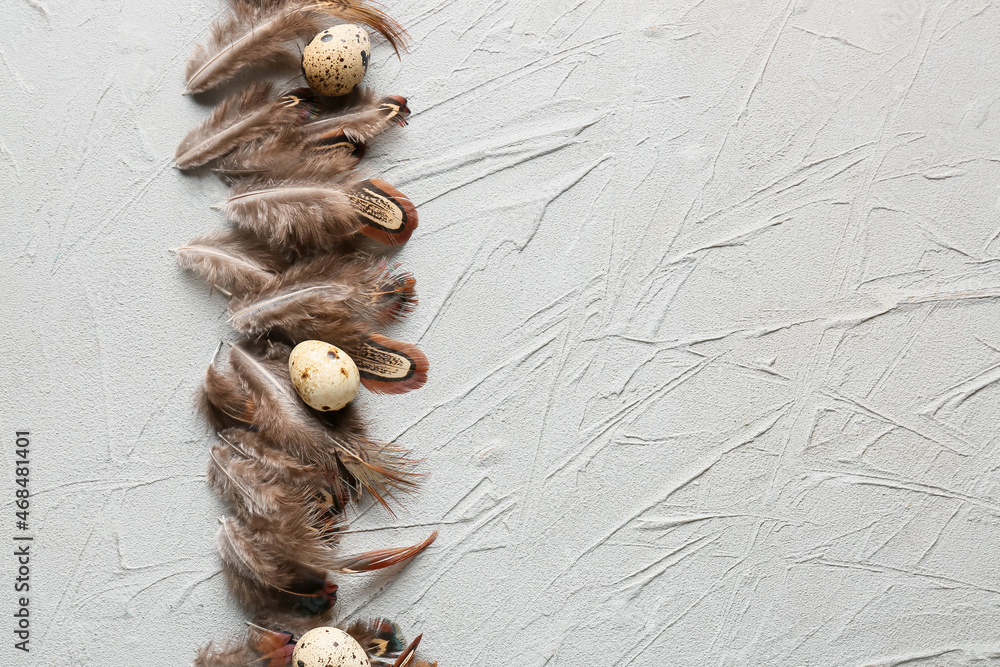 Beautiful pheasant feathers and eggs on grey background