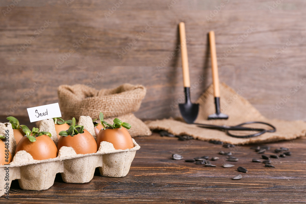 Tag with word SEED and young plants in eggshells on wooden background, closeup