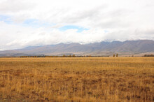 Autumn Desert Steppe With Dry Grass At The Foot Of High Mountains Covered With Snow.