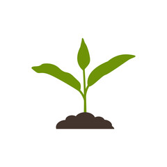 Canvas Print - plant icon design template vector