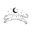 Wild cat silhouette, moon and stars, night, black and white 