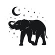 Elephant silhouette, stars and moon, night, black and white