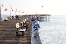 A Shot Of Seagulls Standing On The Railing Of A Long Brown Wooden Pier With People Walking And American Flags Flying From Curved Light Posts At Sunset With Powerful Clouds At Ventura Pier In Ventura