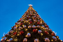 Street Christmas Tree 2022
