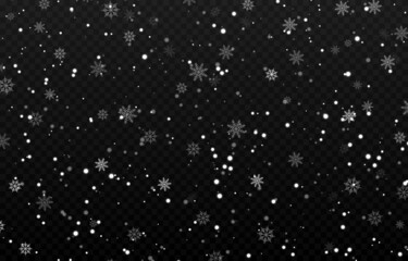 Wall Mural - Vector snow. Snow on an isolated transparent background. Snowfall, blizzard, winter, snowflakes. Christmas image.