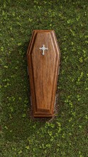 Coffin On Green Grass