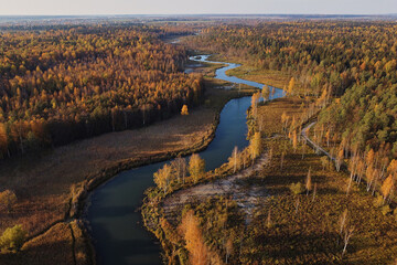 the view from the drone of the autumn trees and the bending river. beautiful autumn background. view from above