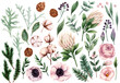 Watercolor clipart with winter flowers