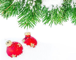 Wall Mural - christmas background with fir branches and snow and red balls isolated on white background. festive 