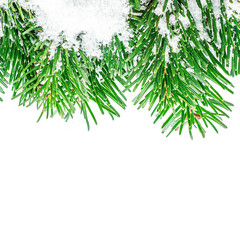Wall Mural - christmas background with fir branches and snow isolated on white background. festive border. top vi