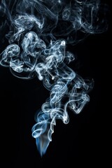 Canvas Print - Smoke on black background