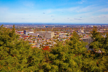 Wall Mural - View from the hill