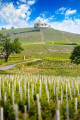 Canvas Print - Church of Fleurie village and vineyards of Beaujolais