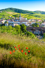 Wall Mural - Le Perreon et les lueurs matinales, Le Beaujolais