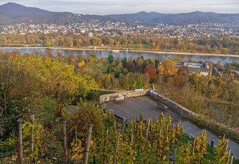 Wall Mural - Insel Nonnenwerth im Mittelrhein