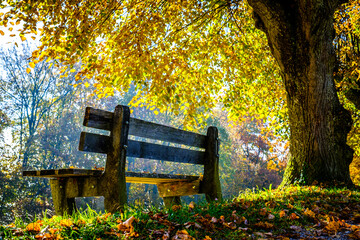 Poster - bench at a park