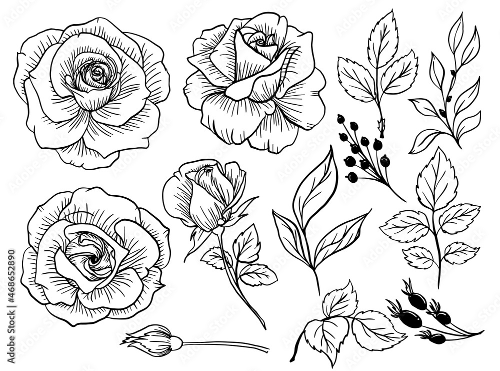 Isolated Rose Flower Line Art Doodle with Leaves Element Stock Vector ...
