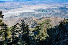View Of Palm Springs From Mt. San Jacinto
