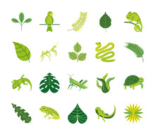Green Leaf And Animals