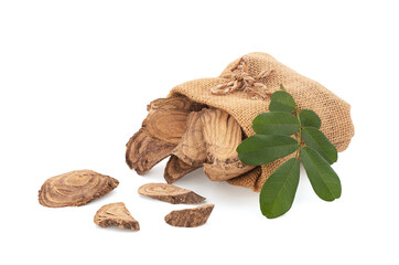 Jewel vine or Derris scandens and green leaves isolated on white background with clipping path.