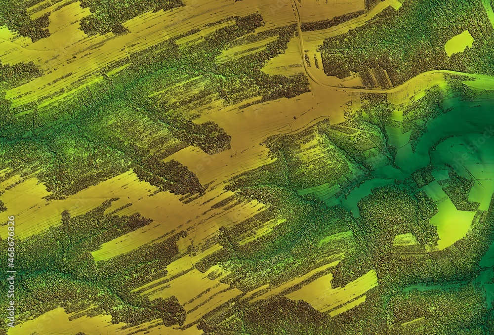 Digital elevation model of a forest area with a swamps. GIS 3D ...