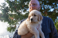 Bald Man With Glasses Holding A Cute 8 Week Old Golden Retriever Puppy Dog