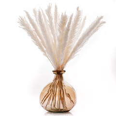 pampas grass in a vase