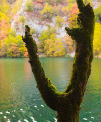 Wall Mural - lake in the park