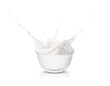 Glass bowl of milk or yogurt with splash isolated on white background.