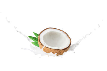 Poster - Coconut Milk spash isolated on white