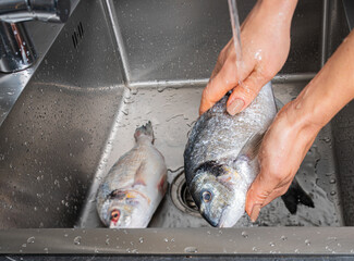 Sticker - Dorado fish washing under running water