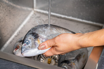 Sticker - Dorado fish washing under running water