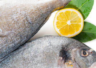 Wall Mural - raw dorado fish with lemon